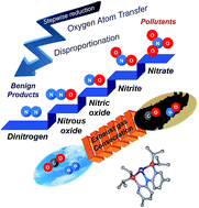 Graphical abstract: One metal is enough: a nickel complex reduces nitrate anions to nitrogen gas