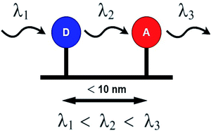 Graphical abstract: Förster resonance energy transfer (FRET) and applications thereof