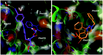 Graphical abstract: In silico peptide-directed ligand design complements experimental peptide-directed binding for protein–protein interaction modulator discovery