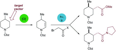 Graphical abstract: Fragment-oriented synthesis: β-elaboration of cyclic amine fragments using enecarbamates as platform intermediates