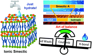Graphical abstract: Understanding ionic mesophase stabilization by hydration: a solid-state NMR study