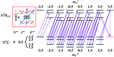 Graphical abstract: Protocol for optically pumping AlH+ to a pure quantum state