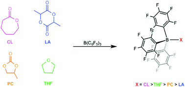 Graphical abstract: Comparative bindings of lactones, lactide, and cyclic carbonates: experimental insights into the coordination step of polymerization