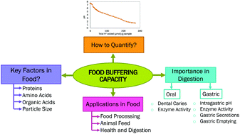 Graphical abstract: Food buffering capacity: quantification methods and its importance in digestion and health