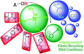 Graphical abstract: Organocatalysis for versatile polymer degradation