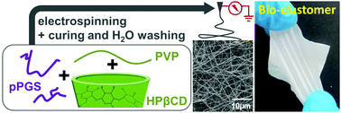 Graphical abstract: Elaboration and mechanical properties of elastomeric fibrous scaffolds based on crosslinked poly(glycerol sebacate) and cyclodextrin for soft tissue engineering