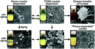 Graphical abstract: Aging effect on the co-crystallization behavior of the donor and acceptor crystals in aqueous dispersions