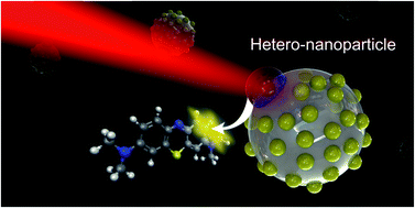 Graphical abstract: Rational design of bimetallic photocatalysts based on plasmonically-derived hot carriers