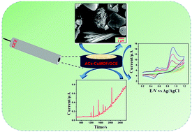Graphical abstract: A novel amperometric determination of flufenamic acid using CuMOF ribbons incorporated with activated carbon