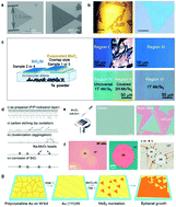 Graphical abstract: Large-area synthesis of transition metal dichalcogenides via CVD and solution-based approaches and their device applications