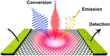 Graphical abstract: Hot carriers in graphene – fundamentals and applications