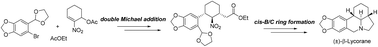 Graphical abstract: The effect of carbonyl on the isomerization of a galanthan ring system and total synthesis of (±)-β-lycorane