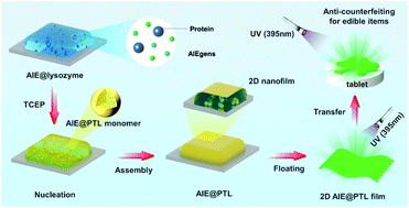 Graphical abstract: Aggregation-induced emission of a 2D protein supramolecular nanofilm with emergent functions