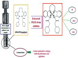 Graphical abstract: A highly sensitive, selective and renewable carbon paste electrode based on a unique acyclic diamide ionophore for the potentiometric determination of lead ions in polluted water samples