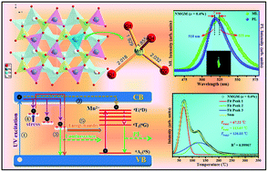 Graphical abstract: Intrinsic and extrinsic defects build a novel mechanoluminescent phosphor Na2MgGeO4:Mn2+