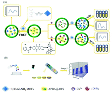 Graphical abstract: Design of a dual-signal sensing platform for d-penicillamine based on UiO-66-NH2 MOFs and APBA@Alizarin Red