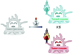 Graphical abstract: A gas-pressure-assisted ratiometric atomic flame assay for the point-of-care testing of tumor-cell-derived exosomes