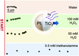 Graphical abstract: Better fuels for photocatalytic micromotors: a case study of triethanolamine
