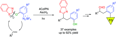 Graphical abstract: Photocatalytic intermolecular carboarylation of alkenes by selective C–O bond cleavage of diarylethers