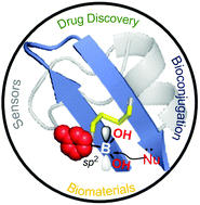 Graphical abstract: The modern role of boron as a ‘magic element’ in biomedical science: chemistry perspective