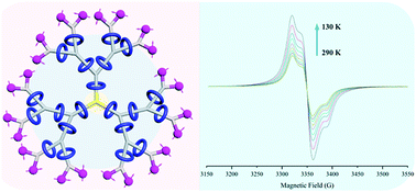 Graphical abstract: Rotaxane-branched radical dendrimers with TEMPO termini