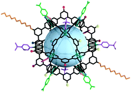 Graphical abstract: Surface chemistry of metal–organic polyhedra