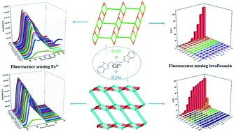 Graphical abstract: Two Cd(ii)-based metal–organic frameworks for the highly effective detection of Fe3+ ions and levofloxacin in aqueous media