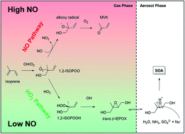 Graphical abstract: Seasonality of isoprene emissions and oxidation products above the remote Amazon