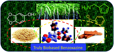 Graphical abstract: A truly bio-based benzoxazine derived from three natural reactants obtained under environmentally friendly conditions and its polymer properties