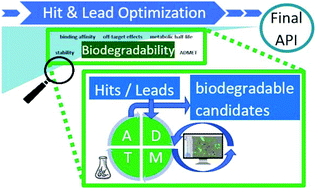 Graphical abstract: Towards the design of active pharmaceutical ingredients mineralizing readily in the environment