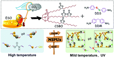 Graphical abstract: Preparation of non-isocyanate polyurethanes from epoxy soybean oil: dual dynamic networks to realize self-healing and reprocessing under mild conditions