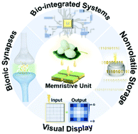 Graphical abstract: Bio-memristors based on silk fibroin