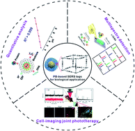 Graphical abstract: Recent advances in plasmonic Prussian blue-based SERS nanotags for biological application