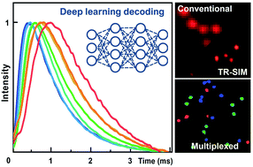 Graphical abstract: Multiplexed structured illumination super-resolution imaging with lifetime-engineered upconversion nanoparticles