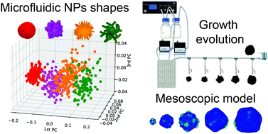 Graphical abstract: A microfluidic approach for synthesis and kinetic profiling of branched gold nanostructures