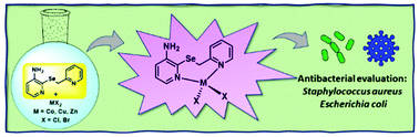 Graphical abstract: Coordination compounds containing 2-pyridylselenium ligands: synthesis, structural characterization, and antibacterial evaluation
