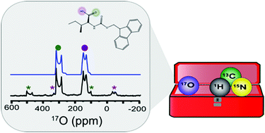 Graphical abstract: Expanding the NMR toolkit for biological solids: oxygen-17 enriched Fmoc-amino acids