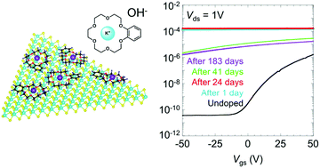 Graphical abstract: Air-stable and efficient electron doping of monolayer MoS2 by salt–crown ether treatment