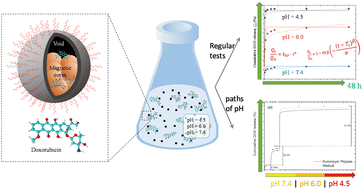 Graphical abstract: Doxorubicin delivery performance of superparamagnetic carbon multi-core shell nanoparticles: pH dependence, stability and kinetic insight