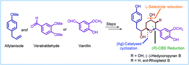 Graphical abstract: Studies directed toward the synthesis of hedycoropyrans: total synthesis of des-hydroxy (−)-hedycoropyran B (ent-rhoiptelol B)