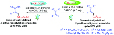 Graphical abstract: Photoinitiated stereoselective direct C(sp2)–H perfluoroalkylation and difluoroacetylation of enamides