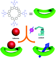 Graphical abstract: Aryl carbazole-based macrocycles: synthesis, their remarkably stable radical cations and host–guest complexation with fullerenes