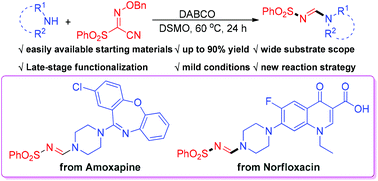 Graphical abstract: Metal-free synthesis of N-sulfonylformamidines via skeletal reconstruction of sulfonyl oximonitriles