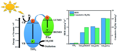 Graphical abstract: Efficient non-metal based conducting polymers for photocatalytic hydrogen production: comparative study between polyaniline, polypyrrole and PEDOT