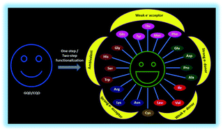 Graphical abstract: Do amino acid functionalization stratagems on carbonaceous quantum dots imply multiple applications? A comprehensive review