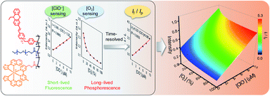 Graphical abstract: Time-resolved analysis of photoluminescence at a single wavelength for ratiometric and multiplex biosensing and bioimaging