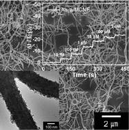 Graphical abstract: Multiscale pore contained carbon nanofiber-based field-effect transistor biosensors for nesfatin-1 detection