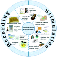 Graphical abstract: Graphene and graphene-related materials as brain electrodes