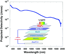 Graphical abstract: Solution-processed broadband photodetectors without transparent conductive oxide electrodes