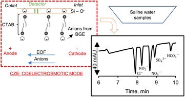 Graphical abstract: Mixture design of an electrolyte system for the simultaneous separation of Cl−, SO42−, NO3−, NO2−, and HCO3− in shrimp-farming water by CZE-UV